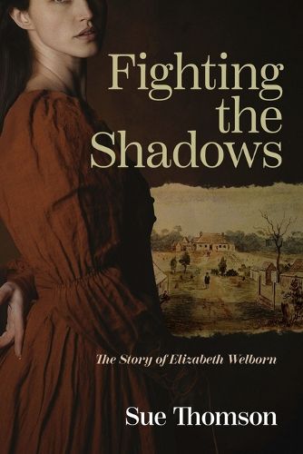 Cover image for Fighting the shadows