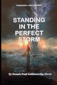 Cover image for Standing In The Perfect Storm