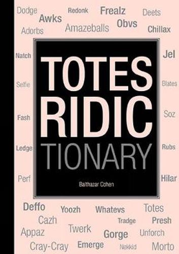 Cover image for Totes Ridictionary