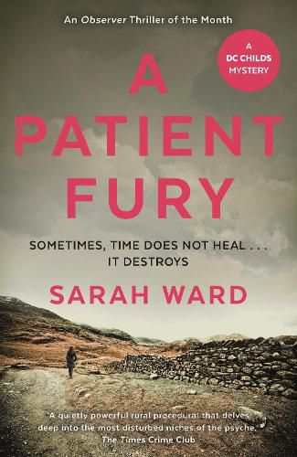 Cover image for A Patient Fury