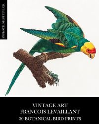 Cover image for Vintage Art: Francois Levaillant 30 Botanical Bird Prints