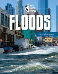 Cover image for Floods Wild Earth Science