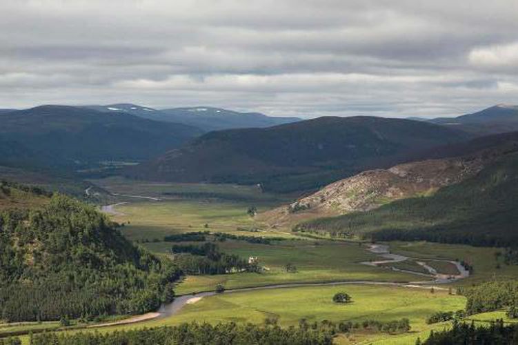 Cover image for Alec Finlay - Gathering. A Place Aware Guide To The Cairngorms