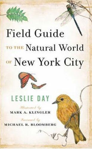 Cover image for Field Guide to the Natural World of New York City