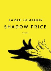 Cover image for Shadow Price