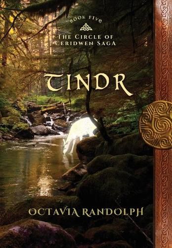 Cover image for Tindr: Book Five of The Circle of Ceridwen Saga