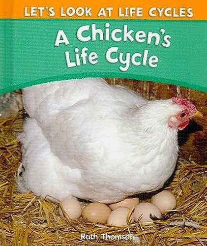 Cover image for A Chicken's Life Cycle