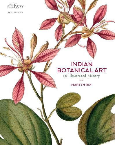 Cover image for Indian Botanical Art: an illustrated history