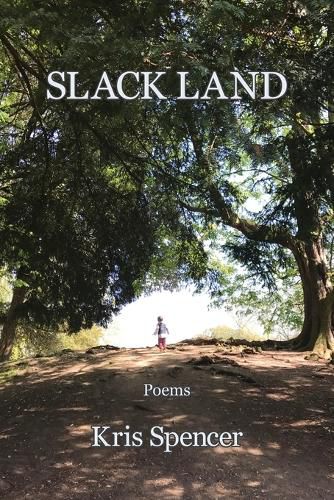 Cover image for Slack Land