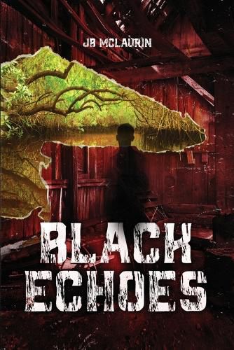 Cover image for Black Echoes