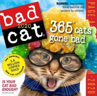 Cover image for 2020 Bad Cat Colour Page-A-Day Calendar