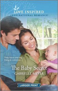 Cover image for The Baby Secret