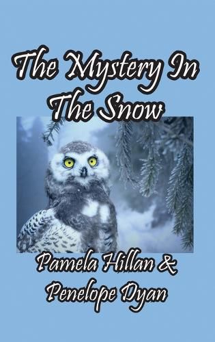 The Mystery In The Snow