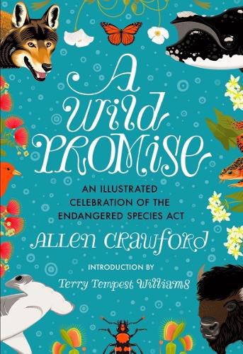 Cover image for A Wild Promise