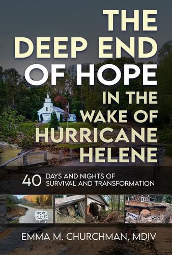 Cover image for The Deep End of Hope in the Wake of Hurricane Helene