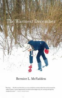 Cover image for The Warmest December