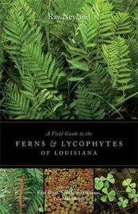 Cover image for A Field Guide to the Ferns and Lycophytes of Louisiana