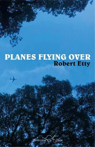 Cover image for Planes Flying Over