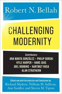 Cover image for Challenging Modernity