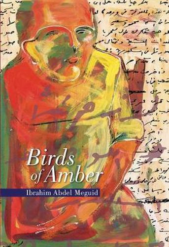 Cover image for Birds of Amber