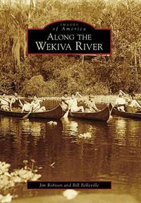 Cover image for Along the Wekiva River