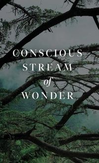 Cover image for Conscious Stream of Wonder