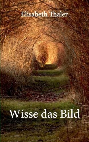 Cover image for Wisse das Bild