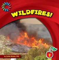 Cover image for Wildfires!