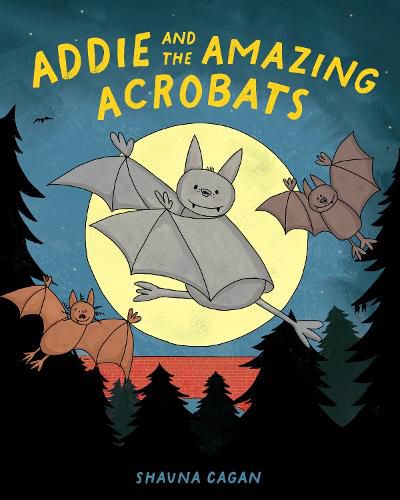 Cover image for Addie and the Amazing Acrobats