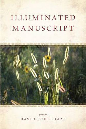 Cover image for Illuminated Manuscript