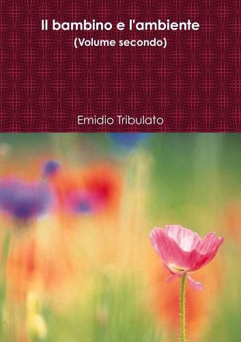 Cover image for Il bambino e l'ambiente (Volume secondo)