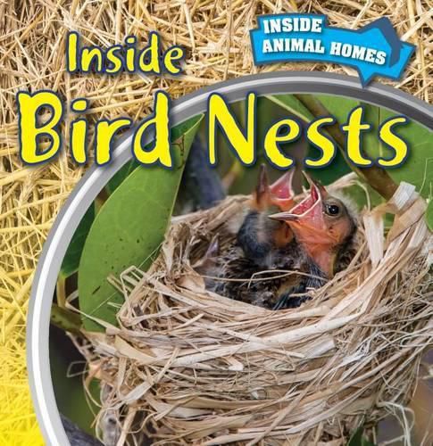 Cover image for Inside Bird Nests