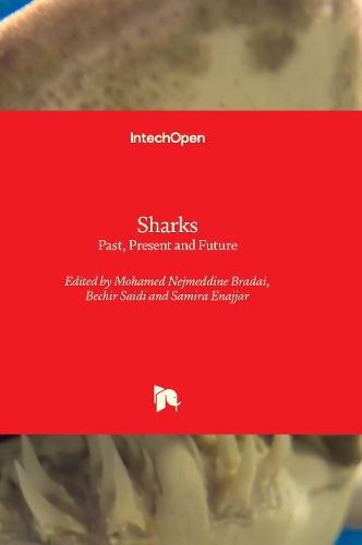 Cover image for Sharks