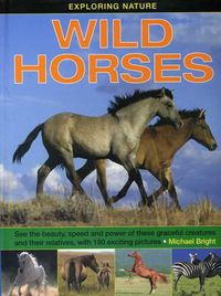 Cover image for Exploring Nature: Wild Horses