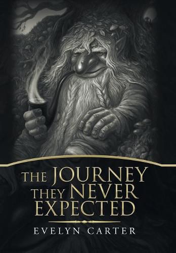 Cover image for The Journey They Never Expected