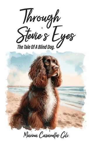 Cover image for Through Stevie's eyes