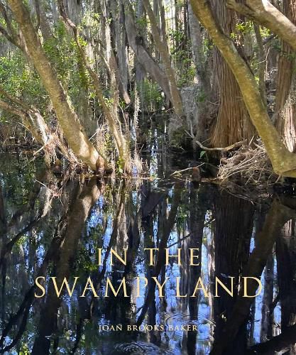 Cover image for In the Swampyland