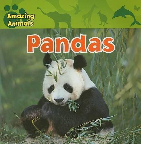 Cover image for Pandas