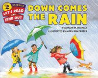 Cover image for Down Comes the Rain