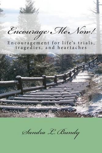 Cover image for Encourage Me Now!: Finding encouragement for every day trials, heartaches, and tragedies.