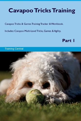 Cover image for Cavapoo Tricks Training Cavapoo Tricks & Games Training Tracker & Workbook. Includes