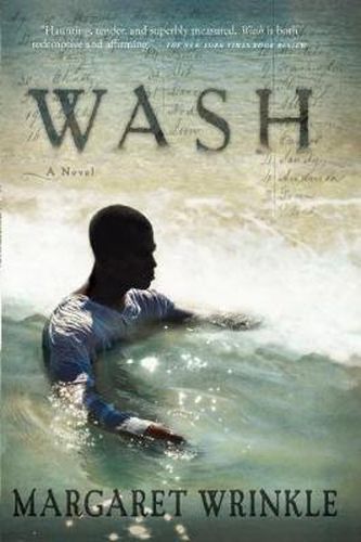 Cover image for Wash