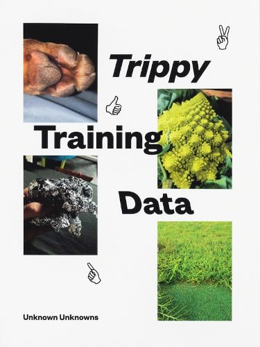 Cover image for Trippy Training Data