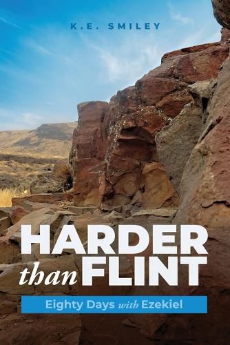 Cover image for Harder than Flint