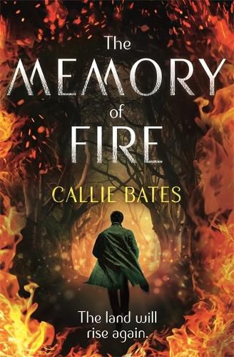 Cover image for The Memory of Fire: The Waking Land Book II