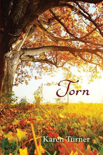 Cover image for Torn