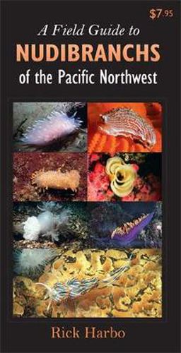 Cover image for A Field Guide to Nudibranchs of the Pacific Northwest