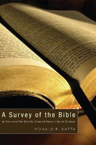 Cover image for A Survey of the Bible: An Overview of the Sixty-Six Canonical Books of Sacred Scripture