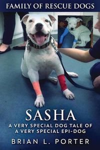 Cover image for Sasha