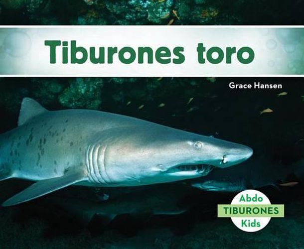 Cover image for Tiburones Toro / Sand Tiger Sharks